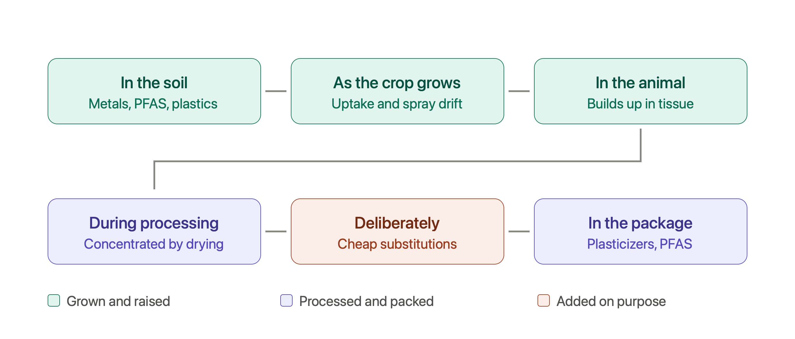 What Are Contaminants in Food, and Where Do They Come From?